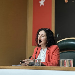 Bir İnsan Hakkı İhlali Olan Kadına Yönelik Şiddetle Mücadele Politikaları - fotoğraf 3