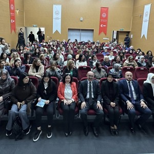Bir İnsan Hakkı İhlali Olan Kadına Yönelik Şiddetle Mücadele Politikaları - fotoğraf 5