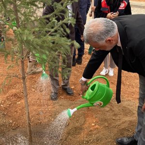İl Müdürümüz Emre Çalğan’dan 11 Kasım Milli Ağaçlandırma Günü Mesajı - fotoğraf 2