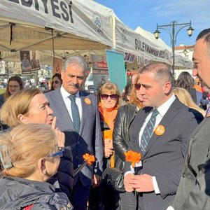 Kadına Yönelik Şiddete Karşı Uluslararası Mücadele Günü - fotoğraf 1