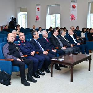 Ailenin Korunması ve Güçlendirilmesi İl Koordinasyon Kurulu - fotoğraf 3
