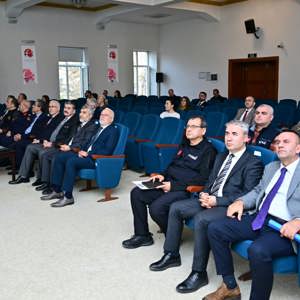 Ailenin Korunması ve Güçlendirilmesi İl Koordinasyon Kurulu - fotoğraf 4