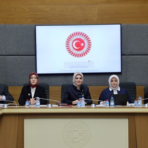 Bakanımız Göktaş, TBMM Dijital Mecralar Komisyonunda sunum yaptı - fotoğraf 3