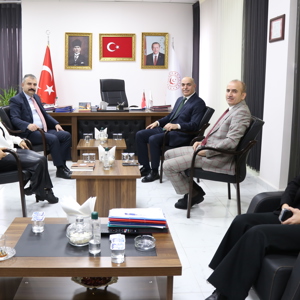Otizm Eylem Planı Kapsamında "İyi Uygulamalar" Mercek Altına Alındı - fotoğraf 1