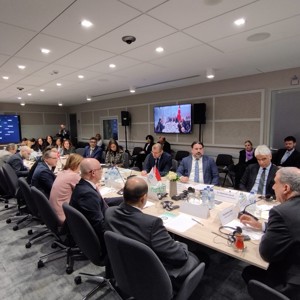 DÜNYA BANKASI İŞ BİRLİĞİYLE SOSYAL YARDIMLAR ÇALIŞTAYI DÜZENLENDİ - fotoğraf 1