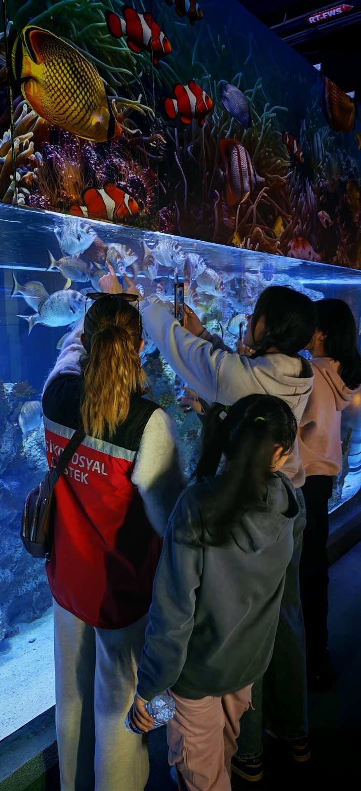 Sosyal ve Ekonomik Destek Hizmet Modelinden yararlanan çocuklarımıza Okul Destek Projesi kapsamında etkinlikler düzenlemeye devam ediyoruz