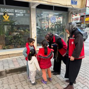 Mobil Ekip Saha Çalışması - fotoğraf 1