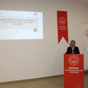 Kadına Yönelik Şiddetle Mücadele İl Eylem Planı Hazırlık Çalıştayı Gerçekleştirildi - fotoğraf 2