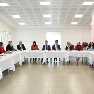 Kadına Yönelik Şiddetle Mücadele İl Eylem Planı Hazırlık Çalıştayı Gerçekleştirildi - fotoğraf 8