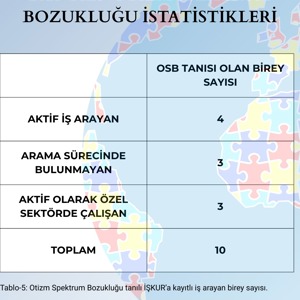 II. Ulusal Otizm Eylem Planı Kapsamında İlimizde Sunulan Hizmetler ve 2025 Yılı Otizm Spektrum Bozukluğu İstatistikleri - fotoğraf 3