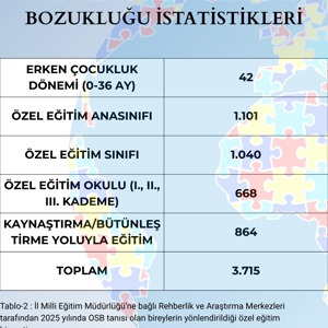 II. Ulusal Otizm Eylem Planı Kapsamında İlimizde Sunulan Hizmetler ve 2025 Yılı Otizm Spektrum Bozukluğu İstatistikleri - fotoğraf 5