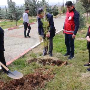 Bakanlığımız Koordinasyonunda Başlatılan ‘Aziz Şehitlerimizin Kabirlerine Vefa’ Ziyareti Gerçekleştirdik.  - fotoğraf 7