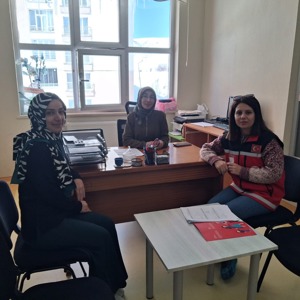 Sosyal Risk Haritası ve Aile Rehberi Çalışmaları  - fotoğraf 4