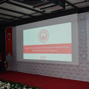 Kadına Yönelik Şiddetle Mücadelede 5 Yıllık Yol Haritası Belirleniyor - fotoğraf 1