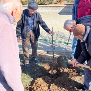 Ellerde toprak, kalplerde huzur... - fotoğraf 2
