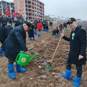 Dünya Ormancılık Günü ve Orman Haftası kapsamında taze fidanlar toprakla buluştu. - fotoğraf 1