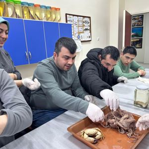 Özel Bireylerimiz Su Ürünleri Çalışmasında Bir Araya Geldi - fotoğraf 1