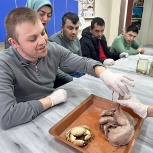 Özel Bireylerimiz Su Ürünleri Çalışmasında Bir Araya Geldi - fotoğraf 2