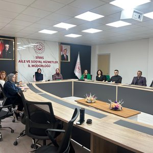 Kadının Güçlenmesi İl Eylem Planı Kapsamında Toplantılar Gerçekleştirildi - fotoğraf 1