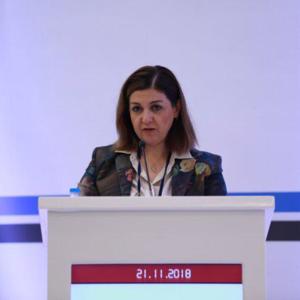 “Mevsimlik Tarımda Çocuk İşçiliği İle Mücadele Konferansı” Gerçekleştirildi - fotoğraf 2