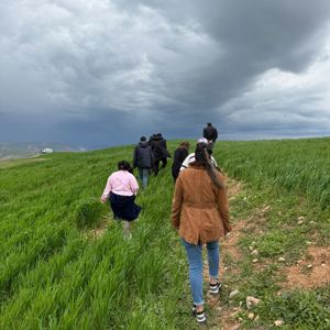 Doğada Bitkileri Tanıma Etkinliği - fotoğraf 4