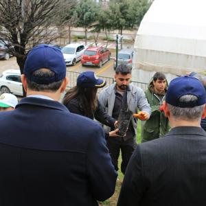 İL MÜDÜRÜMÜZ VE ORMAN BÖLGE MÜDÜRÜMÜZÜN KATILIMIYLA ÇOCUK EVLERİ SİTESİ MÜDÜRLÜĞÜNDE KORUMA ALTINDA BULUNAN ÇOCUKLARIMIZ   MEYVE FİDANLARINI  TOPRAKLA BULUŞTURDULAR - fotoğraf 5