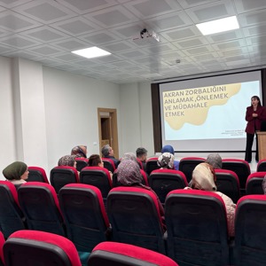 Akran Zorbalığı Eğitim Programı - fotoğraf 2