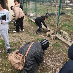 Kangal’dan Divriği’ye Kültür ve Mirasla Dolu Bir Gün - fotoğraf 2