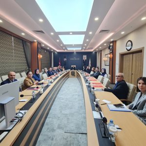 Kadına Yönelik Şiddetle Mücadelede Kurumlar Arası Koordinasyon Toplantısı Gerçekleştirildi - fotoğraf 4