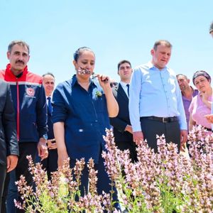  Aile Yılı Kapsamında Fiziksel Egzersiz Hareketleri Etkinliği Gerçekleştirildi - fotoğraf 12