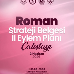 Roman Strateji Belgesi İl Eylem Planı Çalıştayında Buluşuyoruz - fotoğraf 1