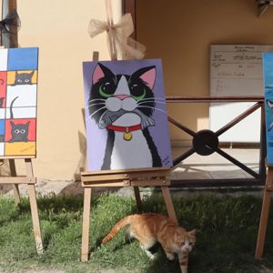 Renklerin Diliyle Umuda Yolculuk - fotoğraf 14