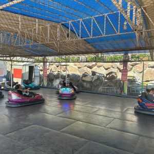 📌Etkinlik - fotoğraf 2