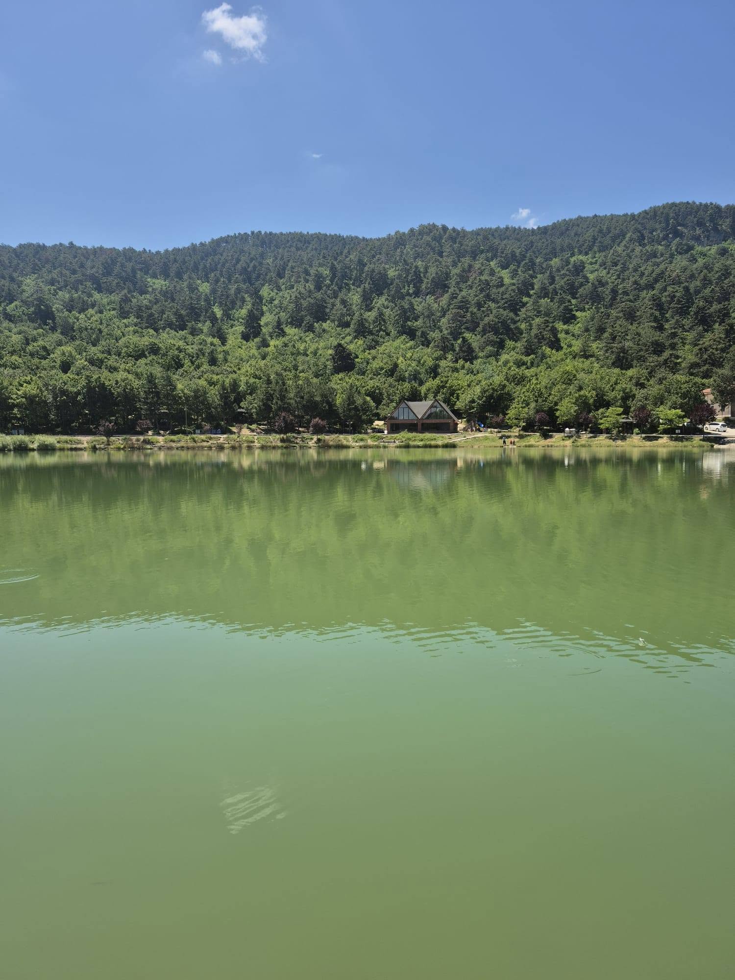Yeşil Göl’de Doğayla İç İçe Keyifli Bir Piknik Etkinliği 