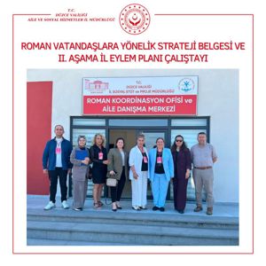 Roman Vatandaşlara Yönelik II. Aşama İl Eylem Planı Çalıştayı Düzenlendi. - fotoğraf 1