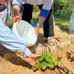 Toprağa Umut, Geleceğe Nefes - fotoğraf 3