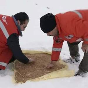 Dağlara buğday serpin islam memleketinde kuşlar aç kaldı demesinler    - fotoğraf 1