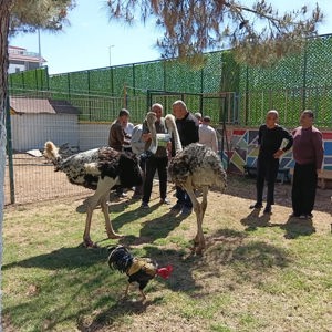 Hayvan Destekli Rehabilitasyonla Gelişime Destek - fotoğraf 1