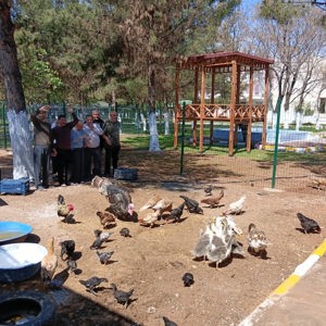 Hayvan Destekli Rehabilitasyonla Gelişime Destek - fotoğraf 2