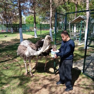 Hayvan Destekli Rehabilitasyonla Gelişime Destek - fotoğraf 3