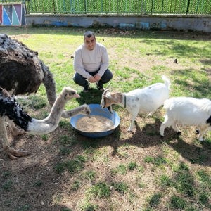 Hayvan Destekli Rehabilitasyonla Gelişime Destek - fotoğraf 4