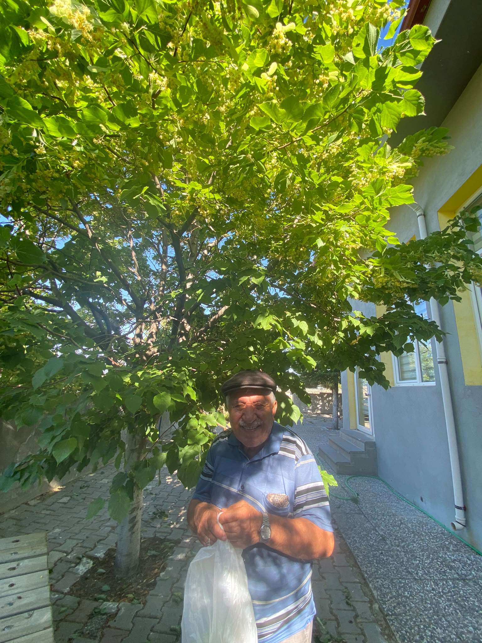 Bahçemizden Gelen Bereket