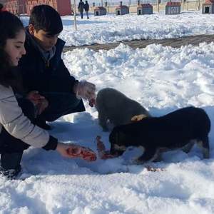 Kalbinde Merhamet Olmayana Cennet Yoktur - fotoğraf 1