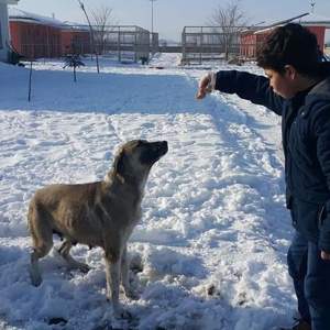 Kalbinde Merhamet Olmayana Cennet Yoktur - fotoğraf 8
