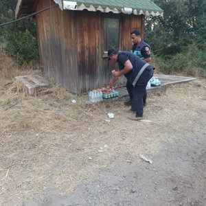 Altınoluk’taki Orman Yangınından Etkilenen Vatandaşlarımıza Psikososyal Destek - fotoğraf 3