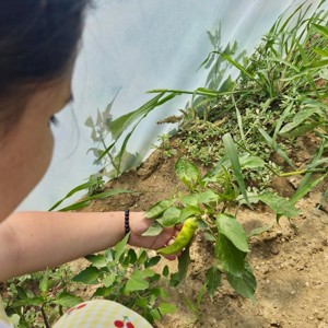 🌱 Çocuklarımızın Emeği Toprakta, Mutluluğu Yüzlerinde Filizlendi - fotoğraf 2