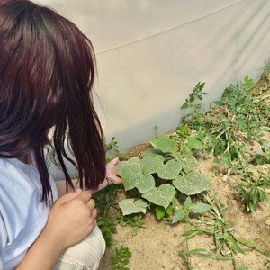 🌱 Çocuklarımızın Emeği Toprakta, Mutluluğu Yüzlerinde Filizlendi - fotoğraf 3