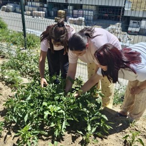 🌱 Çocuklarımızın Emeği Toprakta, Mutluluğu Yüzlerinde Filizlendi - fotoğraf 5
