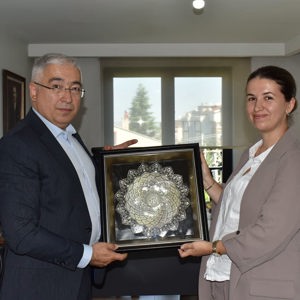 Kadınlara Yönelik Hizmetler Yerinde İncelendi - fotoğraf 2