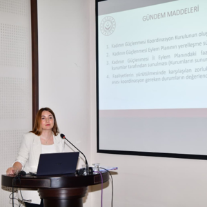 Kadının Güçlenmesi İl Koordinasyon Toplantısı Gerçekleştirildi - fotoğraf 2